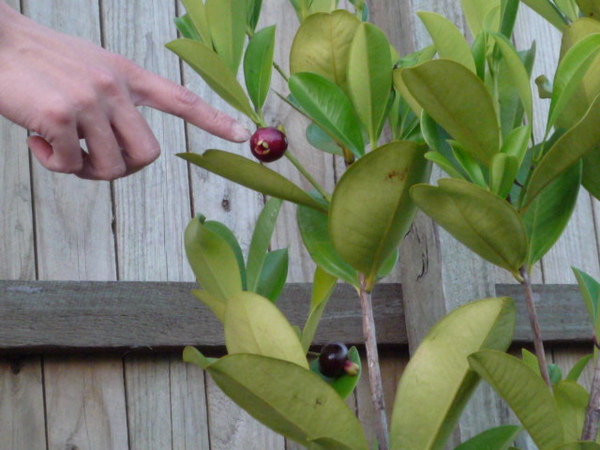 P1000123.JPG P1000123.JPG