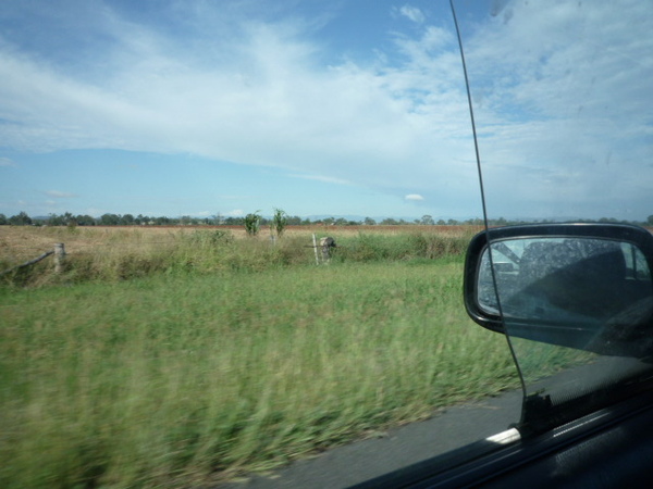 P1020291.JPG P1020291.JPG