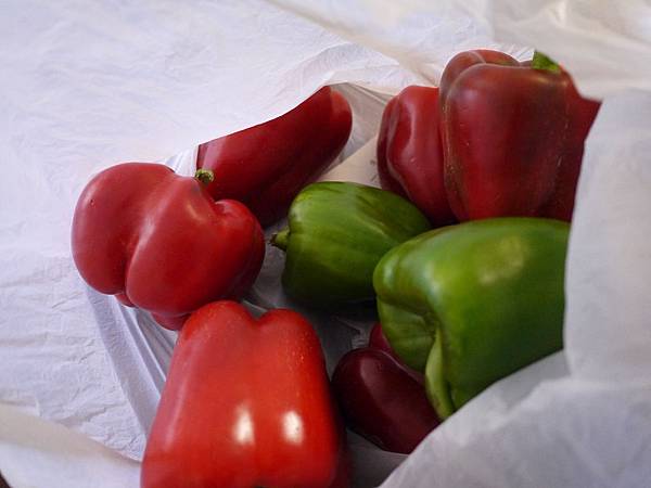 P1060656.JPG P1060656.JPG