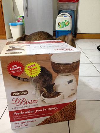 b6b1260.jpg b6b1260.jpg