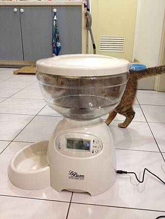 b8838d0.jpg b8838d0.jpg