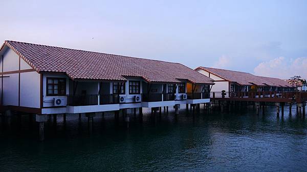 P1010510 P1010510