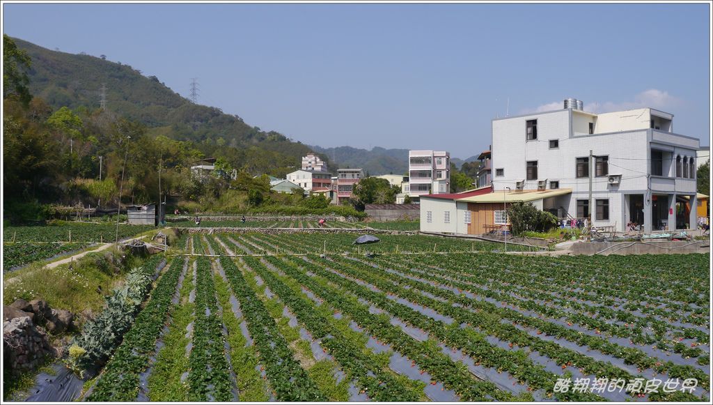 甜心草莓園01.JPG 甜心草莓園01.JPG