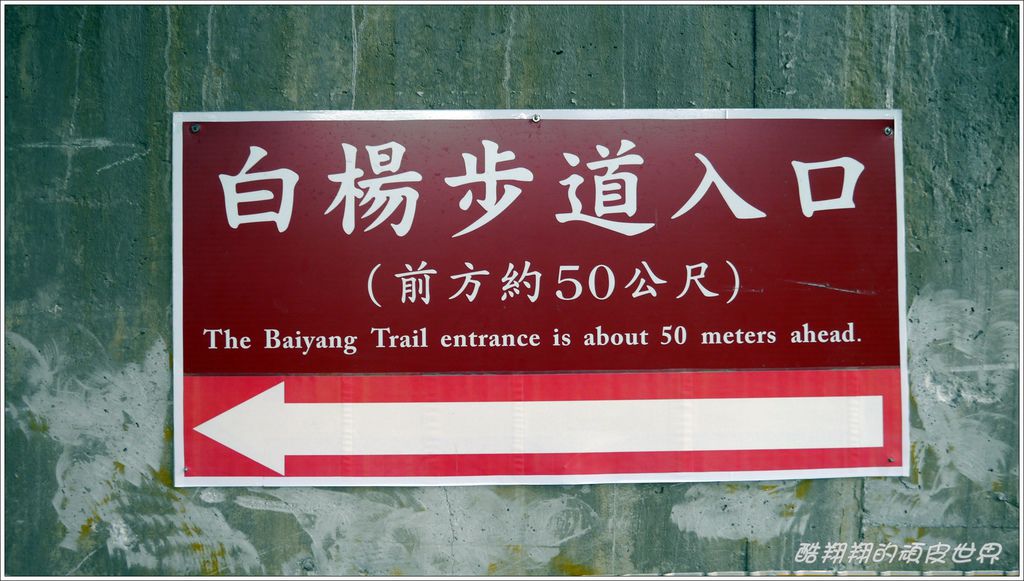 白楊步道01.JPG 白楊步道01.JPG