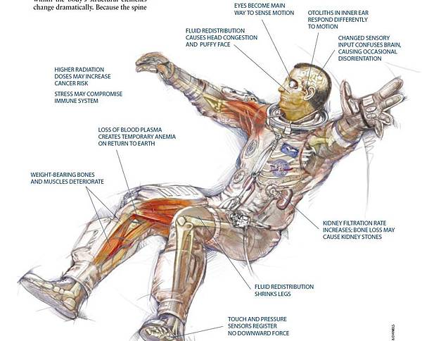 the effect of space travel on the body