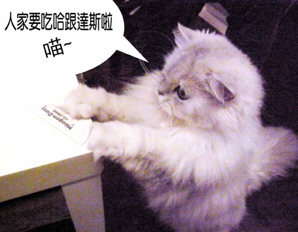 0521-cookie.jpg 0521-cookie.jpg