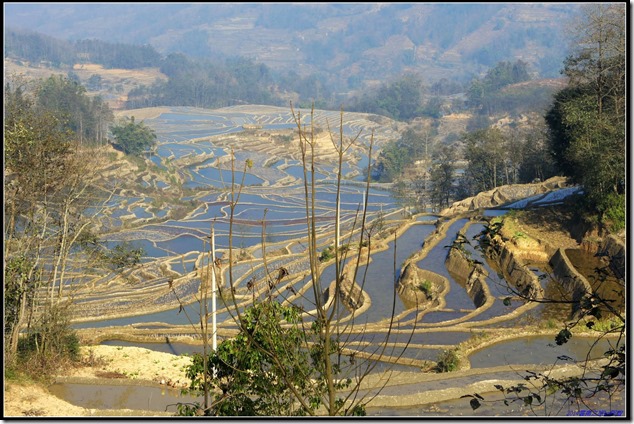 DSC01195-1 DSC01195-1