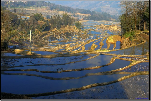 DSC01274-1 DSC01274-1