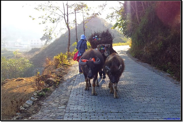 20140125_165952 20140125_165952