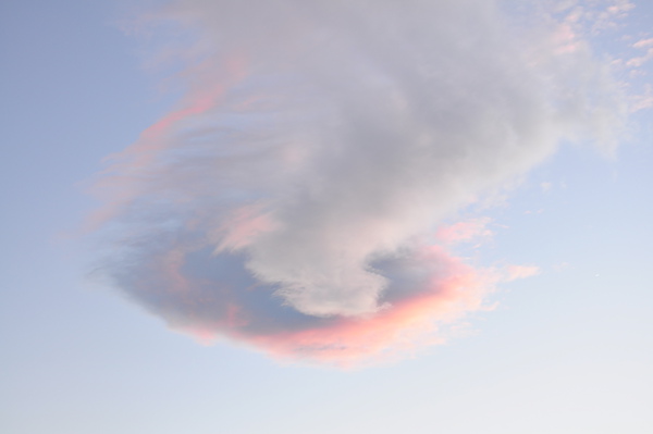 DSC_0559.JPG DSC_0559.JPG