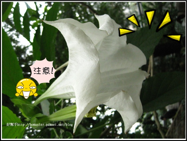 white.jpg white.jpg