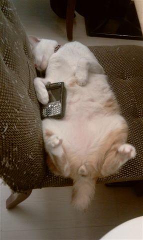 IMAG0212.jpg IMAG0212.jpg