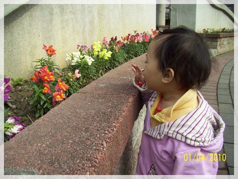 100_2901.jpg 100_2901.jpg