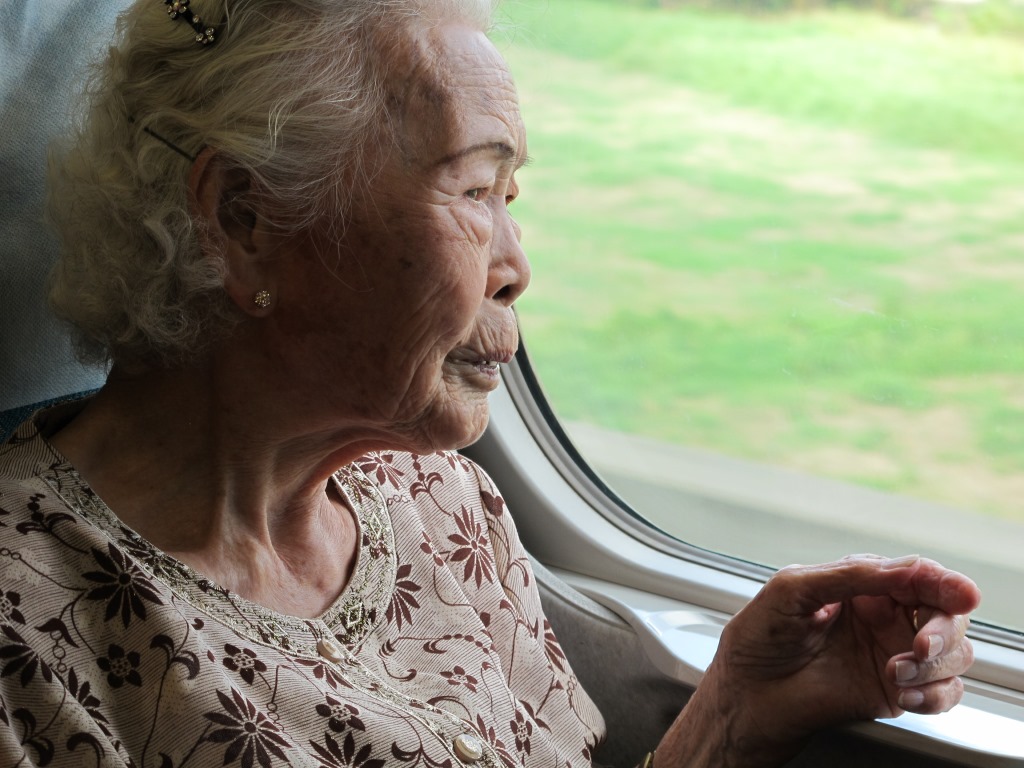 圖1 圖1