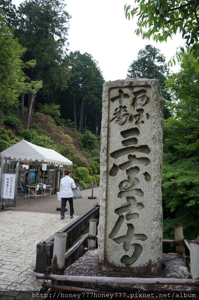 DSC03519 DSC03519