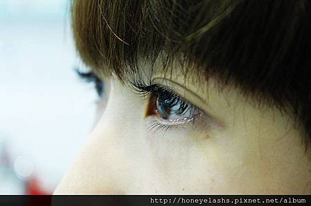 _MG_7683 _MG_7683