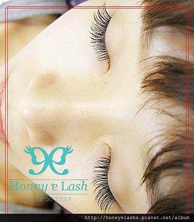 _MG_8124_副本 _MG_8124_副本