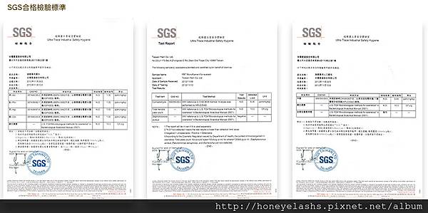 sgs sgs