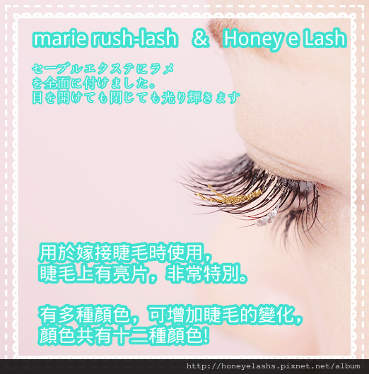8_副本 8_副本