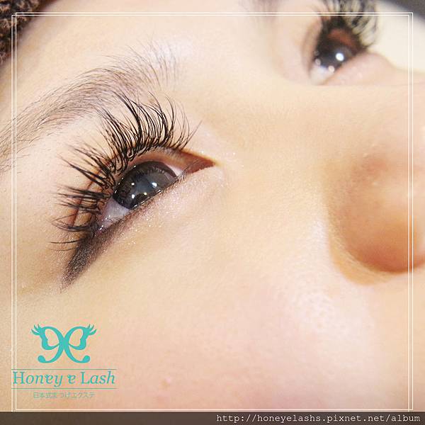 IMG_9506_副本 IMG_9506_副本