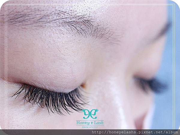 honey e lash (8) honey e lash (8)