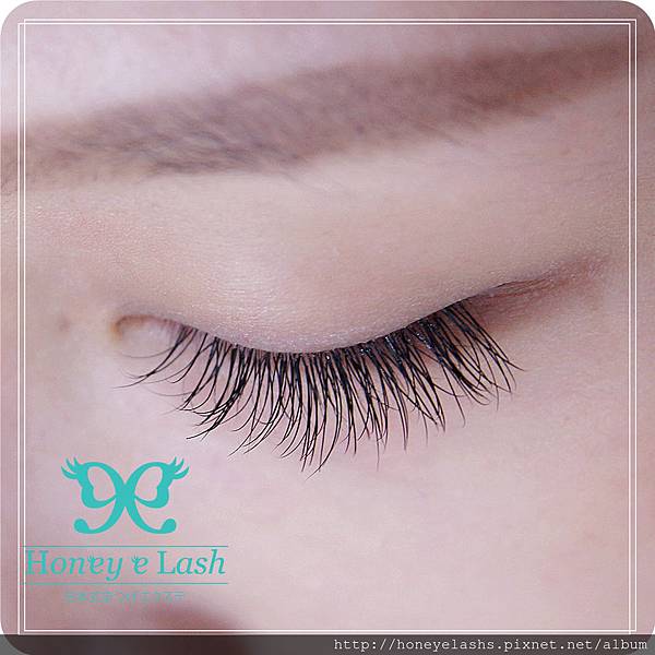 honey e lash (12) honey e lash (12)