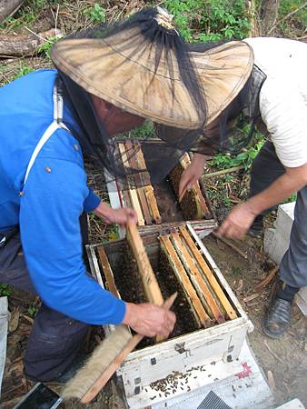 103.04.11南化搖蜜 (3).JPG 103.04.11南化搖蜜 (3).JPG