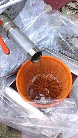 103.04.11南化搖蜜.jpg 103.04.11南化搖蜜.jpg