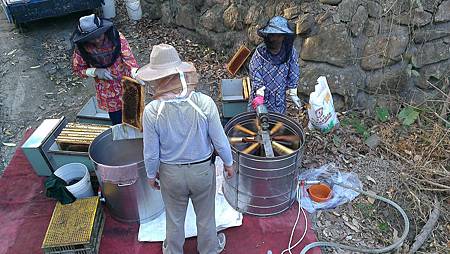 103.04.11南化搖蜜 (2).jpg 103.04.11南化搖蜜 (2).jpg