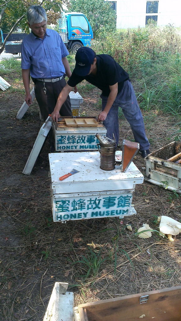 助蜂之程先生與阿明哥 助蜂之程先生與阿明哥