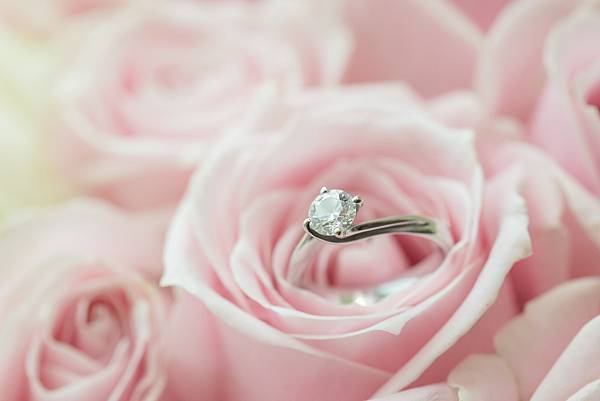 WED056.jpg WED056.jpg