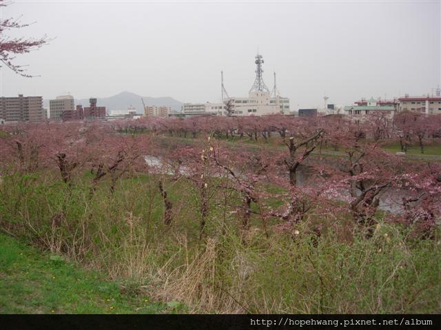 080424-4五稜郭pay (26) (小型).jpg