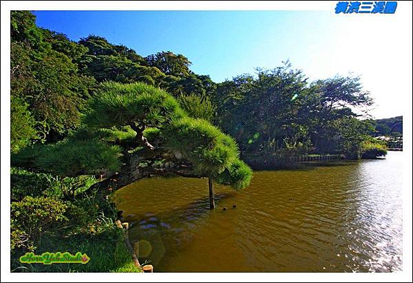 橫濱三溪園02.JPG