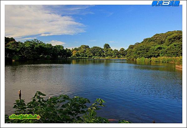 橫濱三溪園17.JPG