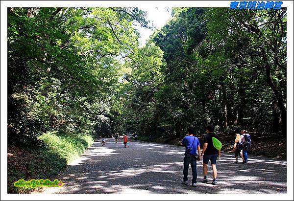 東京明治神宮02.JPG