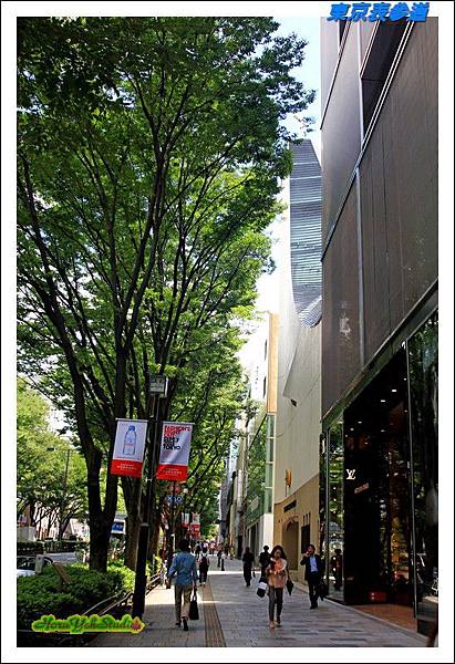東京表參道04.JPG