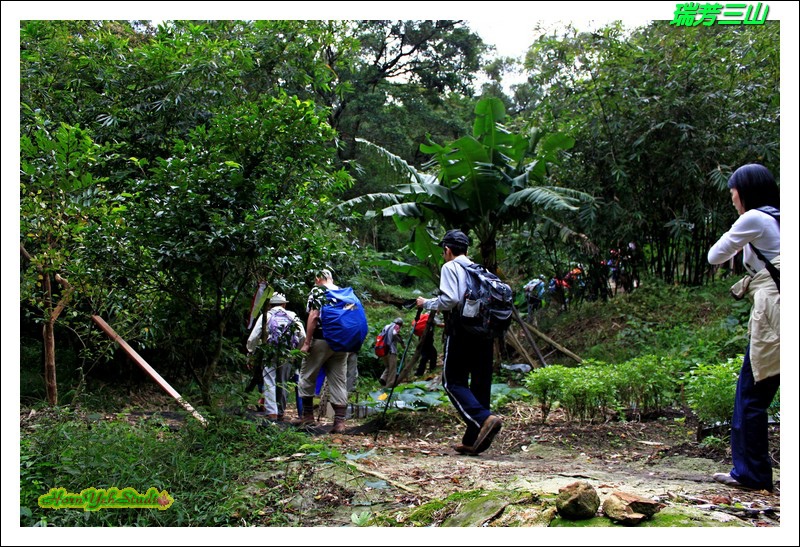 瑞芳三山03.JPG