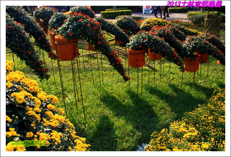 2013士林官邸菊展02.JPG