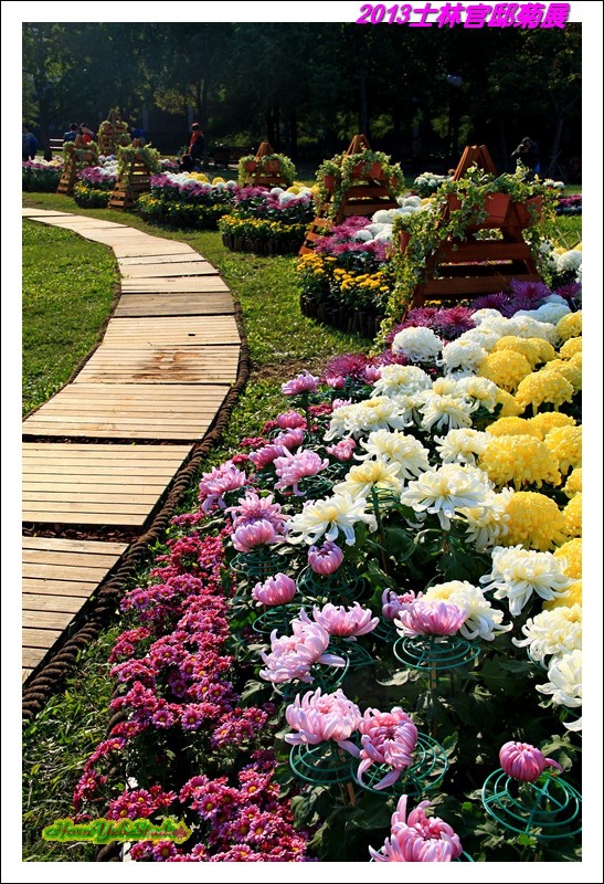 2013士林官邸菊展03.JPG