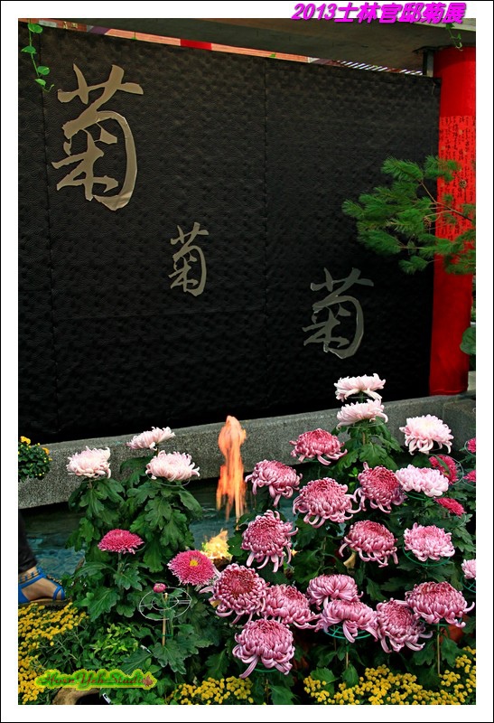 2013士林官邸菊展05.JPG