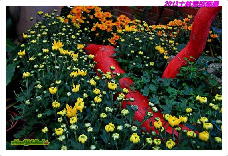 2013士林官邸菊展06.JPG