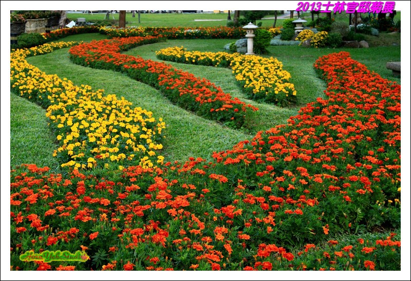 2013士林官邸菊展15.JPG