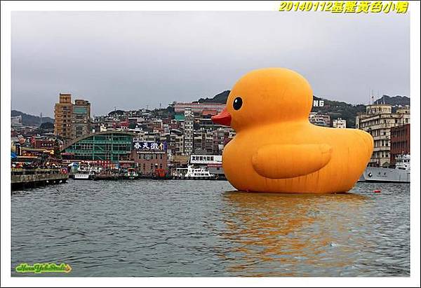 基隆黃小鴨02.jpg