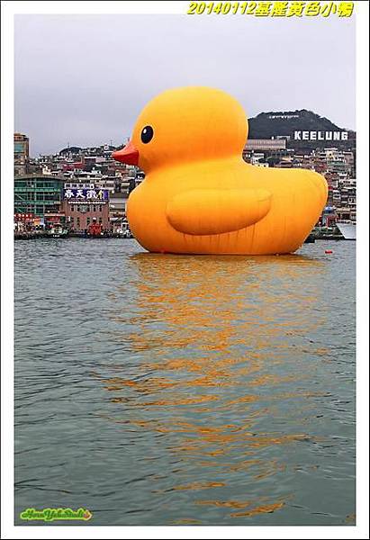 基隆黃小鴨03.jpg