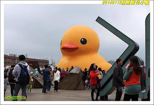 基隆黃小鴨04.jpg