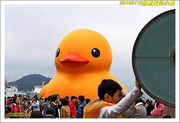 基隆黃小鴨05.jpg