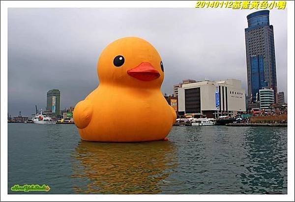基隆黃小鴨08.jpg
