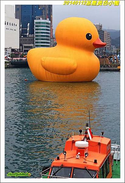 基隆黃小鴨11.jpg