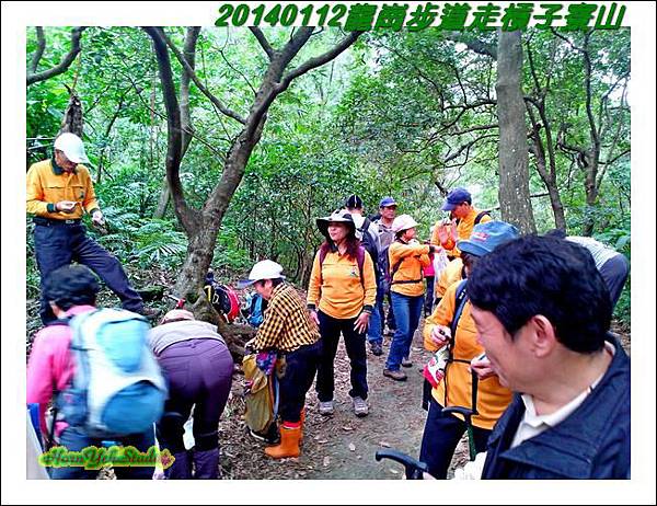 龍崗步道走槓子寮山06.JPG 龍崗步道走槓子寮山06.JPG