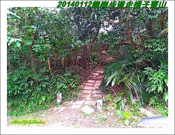 龍崗步道走槓子寮山11.JPG 龍崗步道走槓子寮山11.JPG